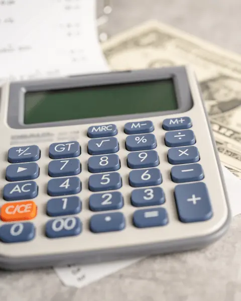 Safran Yetiştiriciliği Karlı Bir Yatırım Mı?