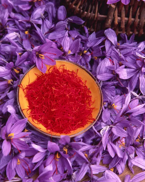 Safranın Depolanması ve Saklanma Koşulları