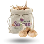 Orijinal Safran Soğanı (Crocus Sativus L.) - %100 Doğal, Yüksek Verim [Adet Satış]