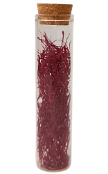 Crimson Talisman - 1 gr Saffron Spice - 20 cc Glass Tube with Cork Stopper
