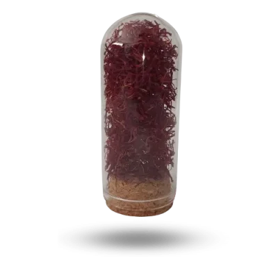 Erbaa-Safran-2gr-Safran-Baharati-30cc-Mantar-Tipali-Urun-Kapak-Gorseli-1.webp