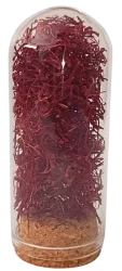 Sanctum Saffron - 2g Saffron Spice - 30cc Glass Bottle with Cork Stopper